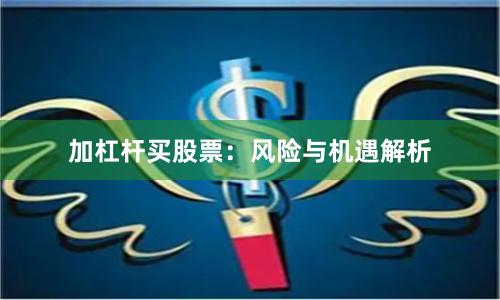 加杠杆买股票：风险与机遇解析